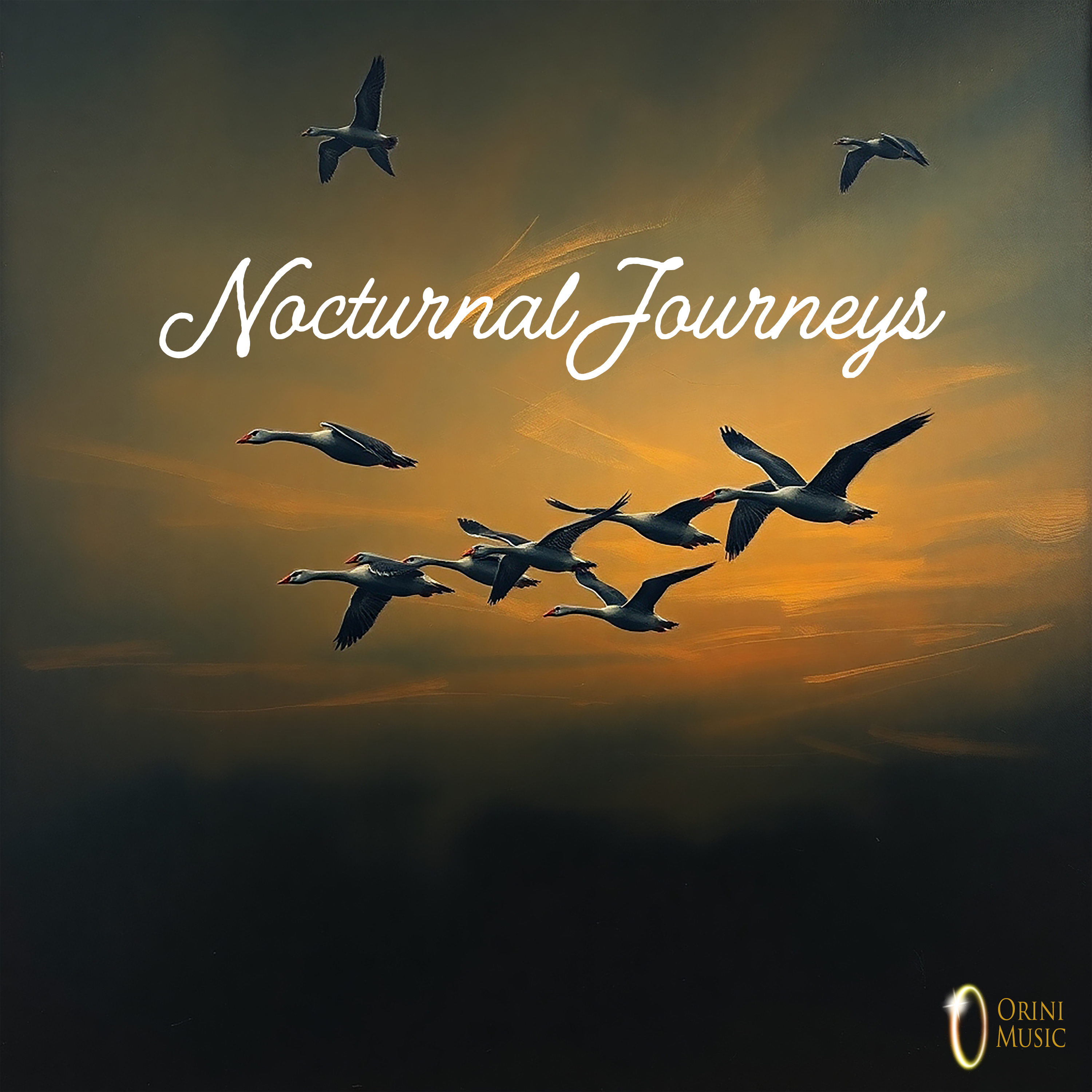 Nocturnal Journeys